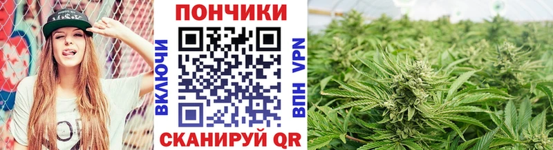 Купить наркотик Североморск Псилоцибиновые грибы  Мефедрон  Alpha-PVP  ГАШИШ  МАРИХУАНА 
