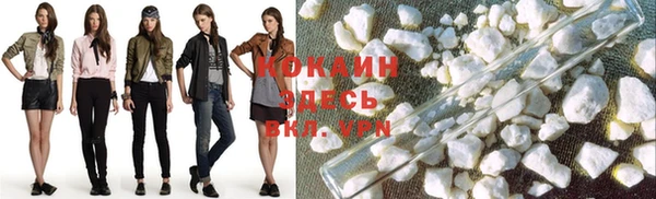 спайс Покачи