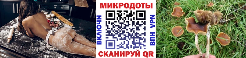 сайты даркнета какой сайт  кракен ONION  Североморск  где купить   Галлюциногенные грибы GOLDEN TEACHER 